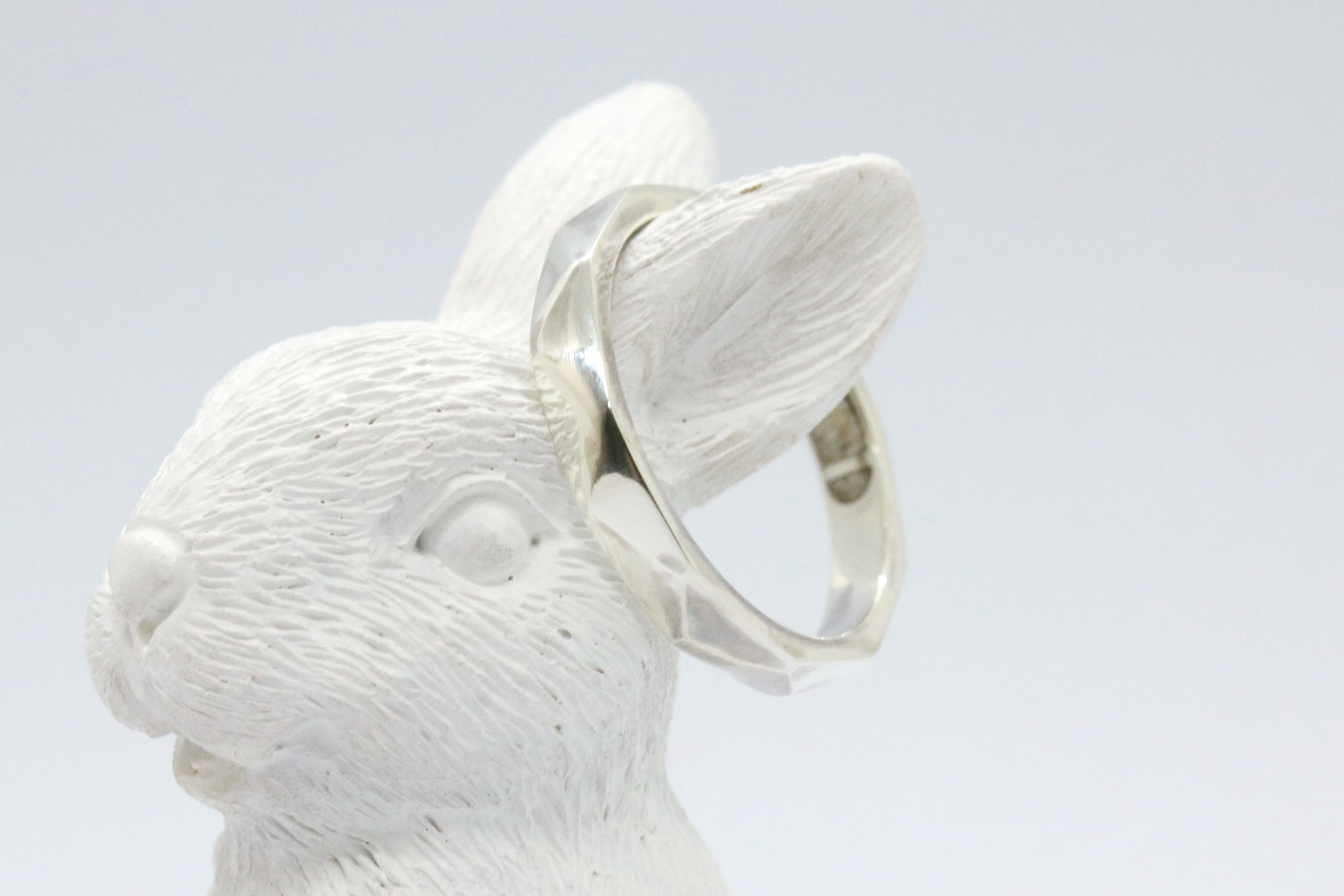 【レオ】遺骨リング 遺骨ジュエリー メモリアルリング メモリアルジュエリー 手元供養 完全防水