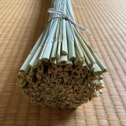 乾燥真菰(まこも)葉［長さ125cm×300g］2セット、［長さ110cm×200g］2