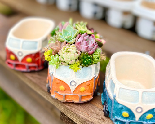 そのまま飾れる多肉植物寄せ植え（レトロバス） 多肉植物 ba-boo house