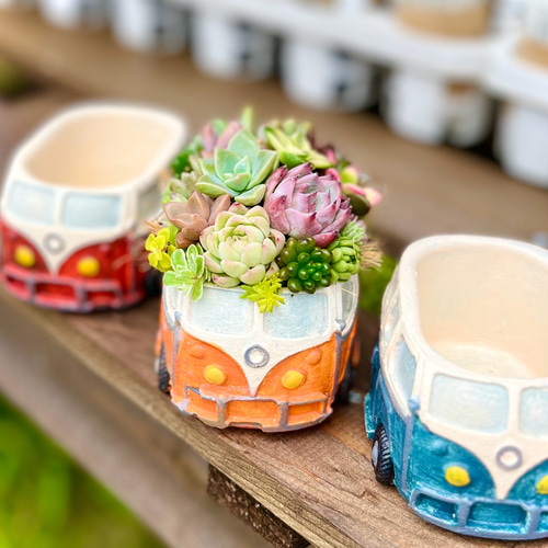 そのまま飾れる多肉植物寄せ植え 多肉植物 ba-boo house 通販 そのまま飾れる多肉植物寄せ植え 多肉植物 ba-boo house 通販