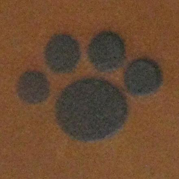 肉球1、60W焼印電気ごてセット 4枚目の画像