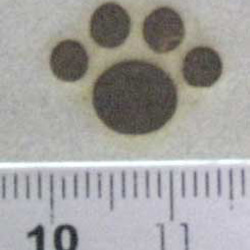 肉球1、60W焼印電気ごてセット 3枚目の画像