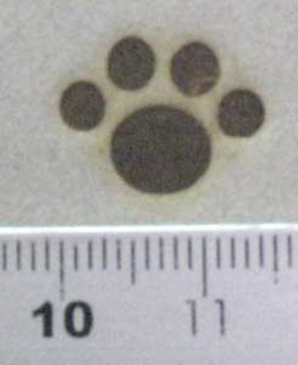 肉球1、60W焼印電気ごてセット 3枚目の画像