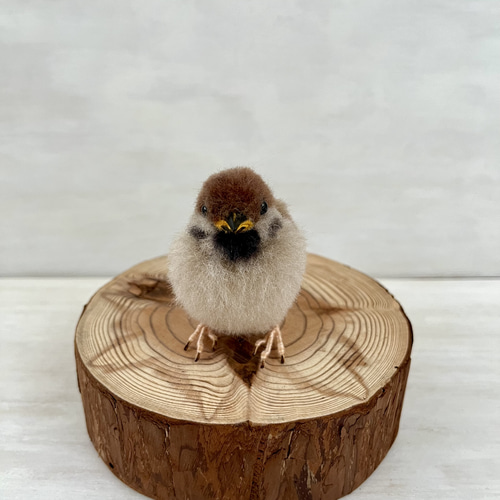 羊毛フェルト　スズメ　親子 羊毛フェルト - スズメ4点セット | iichi 日々の暮らしを心地よくする