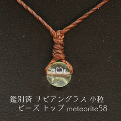 ☆型 アルタイ隕石 ペンダントトップ meteorite150 ネックレス