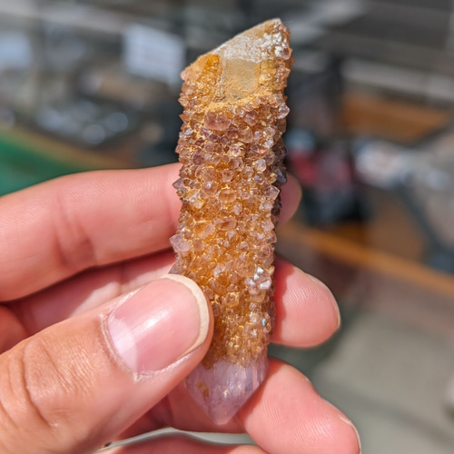 カクタスクォーツ　サボテン水晶　スピリットクォーツ　フラワークォーツ　原石　鉱物 ザラメがきらきら輝く素敵な石］神秘 カクタスクォーツ サボテン水晶