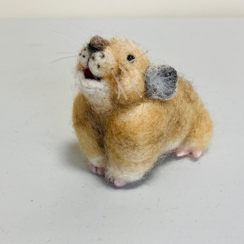 キャリン。羊毛フェルトオーダー。 Z様オーダー作品 羊毛