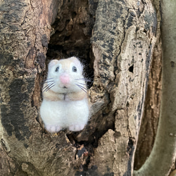 羊毛フェルト エゾモモンガ 羊毛フェルト kanken 通販 17840988