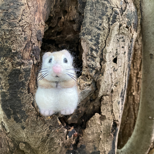 本物じゃないの?」羊毛フェルトで作ったエゾモモンガに驚き