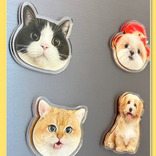 ♡オーダーページ♡ 【④あにまる(可愛♡)】 ♡オーダーページ♡ 【④あにまる(可愛♡)】