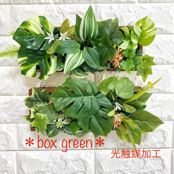 ☆送料込み☆アガベ台座 即購入OK 男前 塊根 植物台座 多肉植物