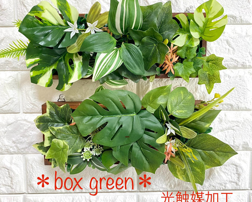 光触媒加工ウォールグリーン　フェイクグリーン壁掛け♡ボックス型C♡ 光触媒加工］☆ちょこっとグローブシスルが可愛いBOXグリーン