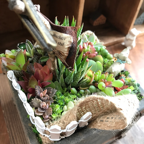 しあわせな、いちにち。⌘多肉植物の寄せ植え⌘セダム しあわせな、いちにち。⌘多肉植物の寄せ植え⌘セダム
