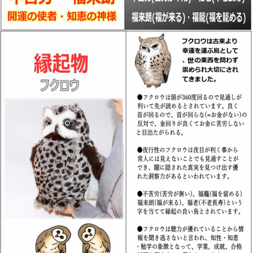 フクロウ ぬいぐるみ ぬいぐるみ クラフトマン清水 通販