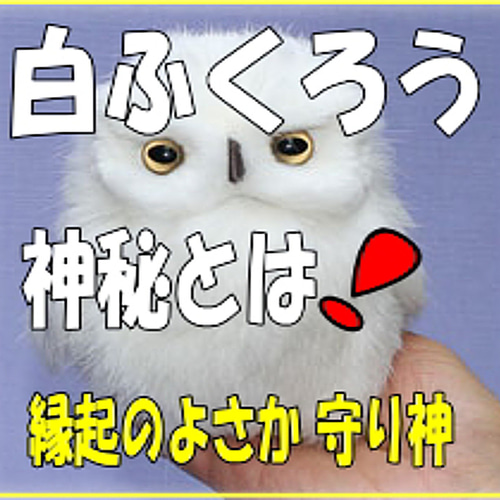 海外作家様作　ぬいぐるみ　フクロウ 海外作家様作 ぬいぐるみ フクロウ