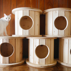 2025新型 キャットタワー 木製 宇宙船カプセル 展望台 多頭飼い