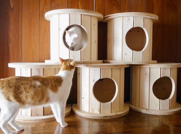 木の香り漂うキャットハウス＊キャットタワー                                     木製ドラムで作る、木の香り漂うキャットハウスです。1個で使ってもok♪重ねてタワーにしてもok♪猫 IQ1221755073(9425円)