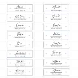 金具付き【ファーストアートタグ】ネームプレート 筆記体　クリア アクリル アートタグ　ファーストアート　透明 夏 9枚目の画像