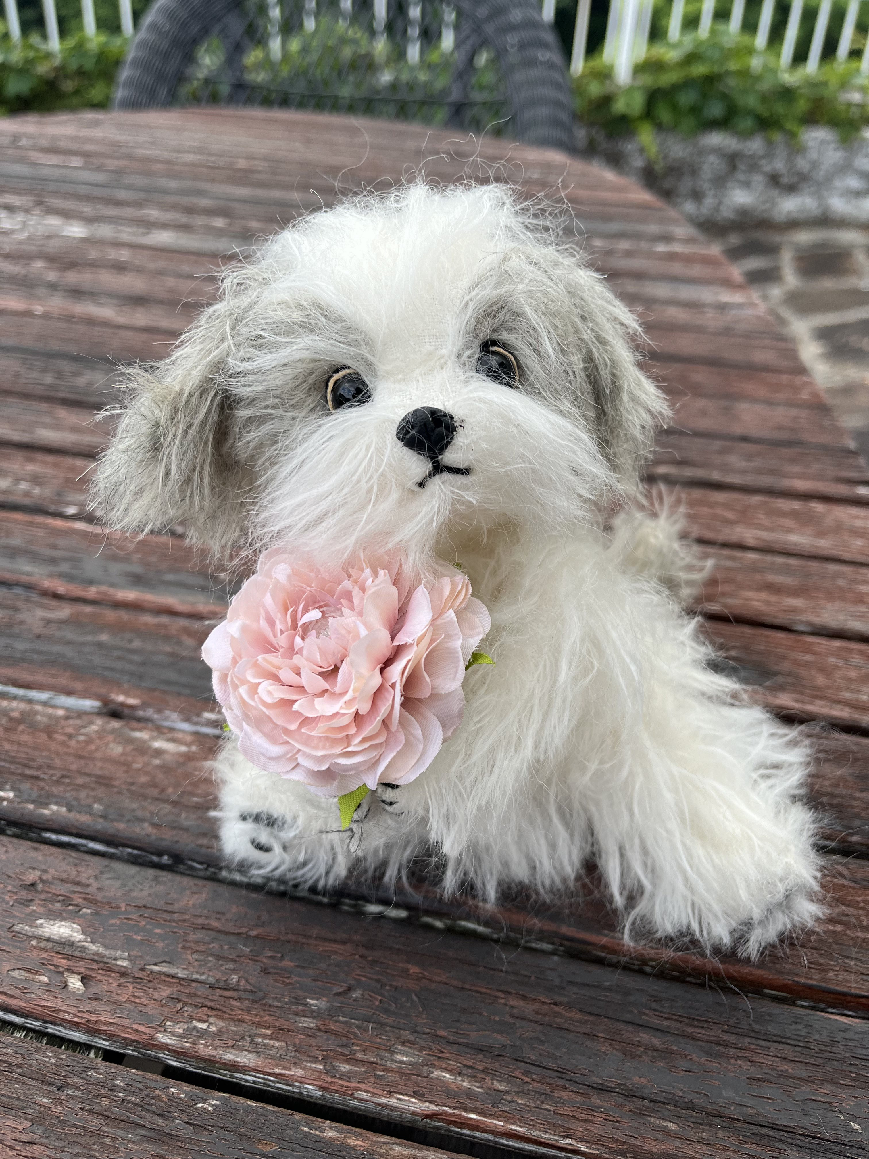 【テディベアスタイル】シーズ