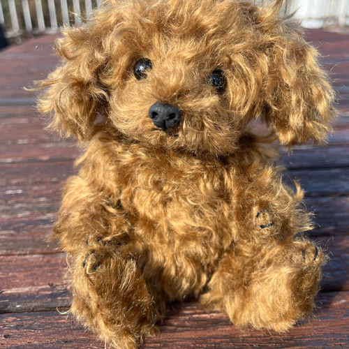 テディーベア トイプードル テディベアスタイル】オーダー トイプードル ぬいぐるみ teddy