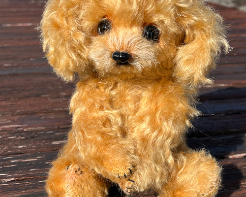 テディベア ハンドメイド ai bear トイプードル 犬 10㎝ 作家 いぬ いぬすたぐらむ #犬 #dogsofinstagram #トイプードル #toypoodle #いぬ