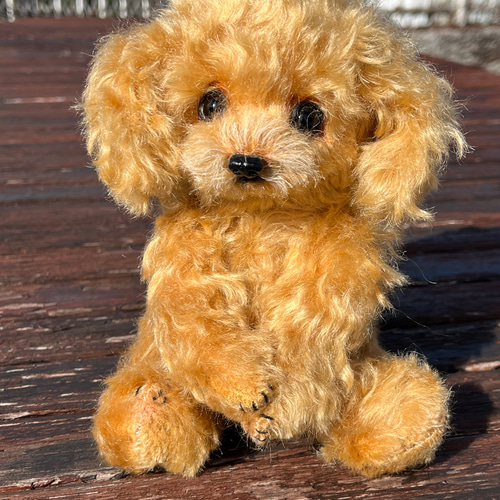 テディベアスタイル】オーダー トイプードル ぬいぐるみ teddy