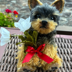 テディドッグ】オーダートイプードル（茶色） ※モヘア生地は