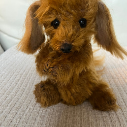 テディドッグ】オーダートイプードル（茶色） ※モヘア生地はプラス価格