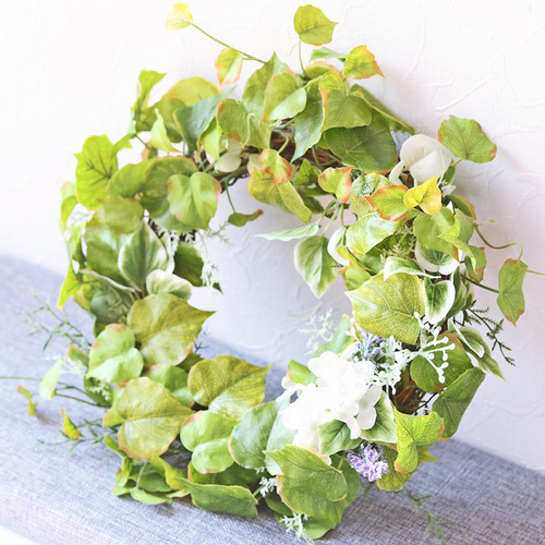 母の日♡紫陽花♡きらきら星♡ラッピング♡ギフト♡5号鉢 母の日♡紫陽花♡きらきら星♡ラッピング♡ギフト♡5号鉢