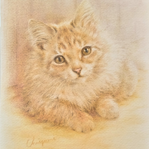 猫 イラスト オーダーメイド 色鉛筆画 A4サイズ イラスト CHI 猫 イラスト オーダーメイド 色鉛筆画 A4サイズ イラスト CHI
