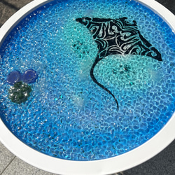 キキララ♡アクセサリートレイ♡海のプリズム♡レア キキララ♡アクセサリートレイ♡海のプリズム♡レア キキララ