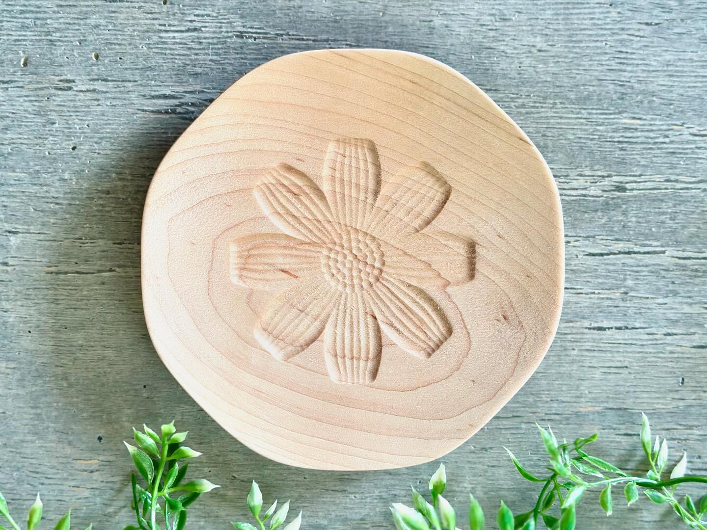 Flower plate_コスモス_S