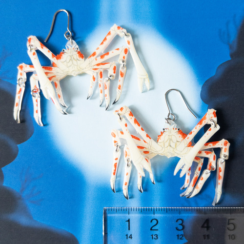 タカアシガニ＊ピアス/イヤリング ピアス（フック・チェーン） ねぎ