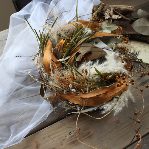 wreath「鳥の巣と夕焼け」№2 小豆柳とグレビレアゴールドのリース