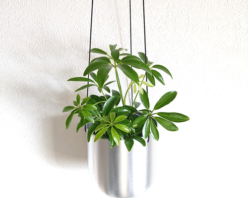 5cdf2708fa0cf8f95fd9639d7176be