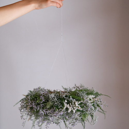 2.スターチスフライングリース 優しい春の2種のスターチスのフライングボール＊フライング