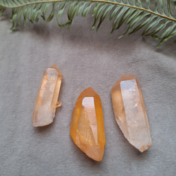 レムリアンシードクリスタルゴールド ゴールデンレムリアンシード クリスタル （3本セット） その他