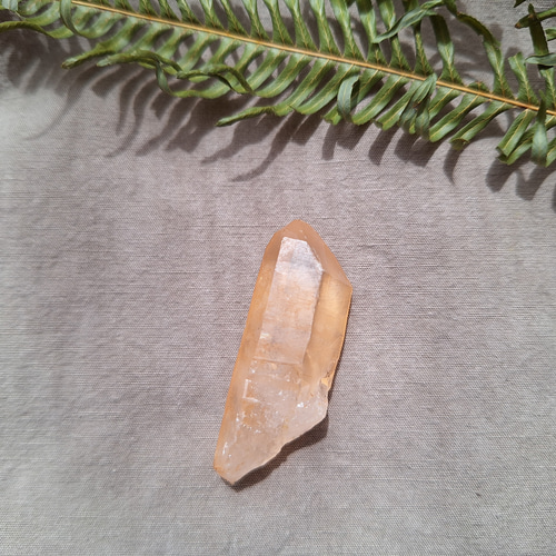 ゴールデンレムリアンシード クリスタル （3本セット） その他