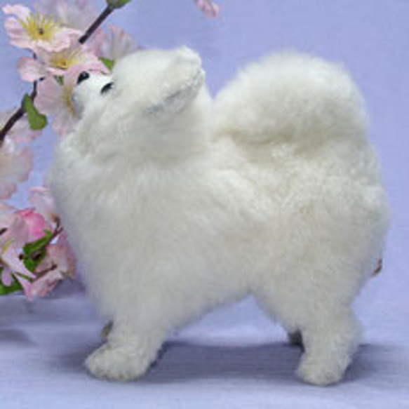 四つ立ちポメラニアン 4色で対応 犬 ぬいぐるみ ぬいぐるみ