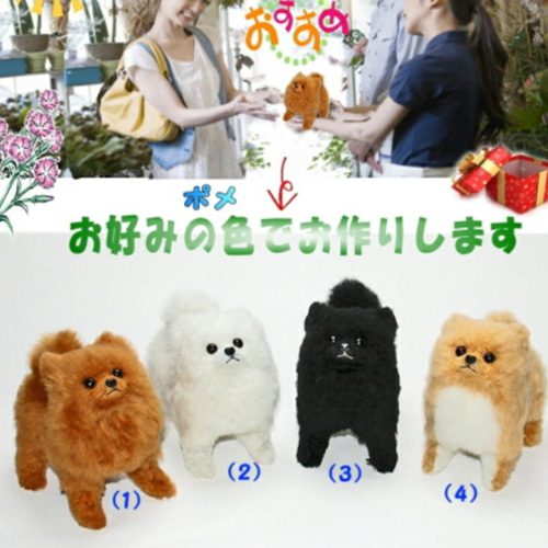 四つ立ちポメラニアン 4色で対応 犬 ぬいぐるみ ぬいぐるみ