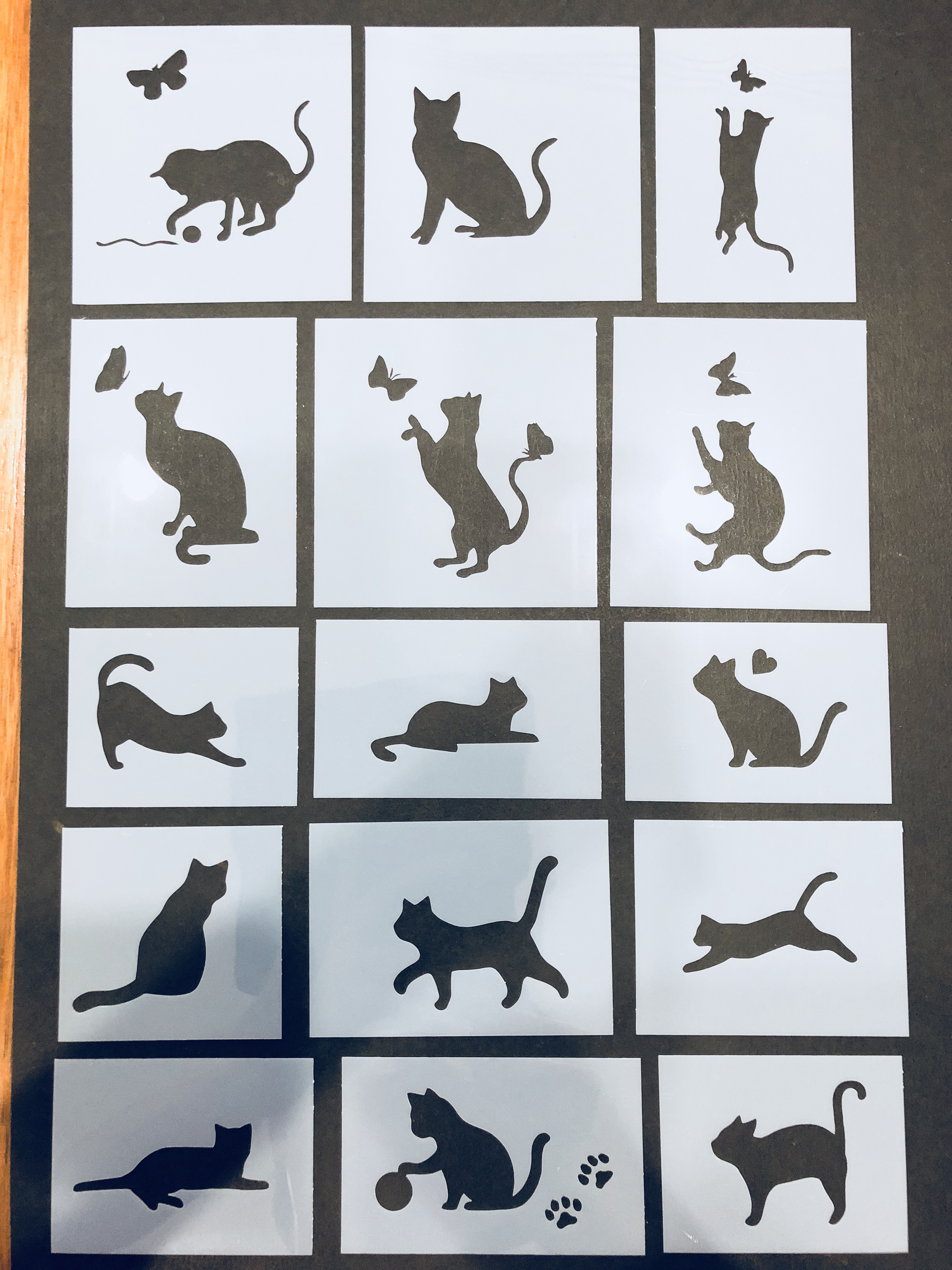 絵画 肉筆絹本 在銘 シートのみ 猫 真作]新田俊純:江戸期 新田の猫 紙本肉筆掛軸 養蚕信仰 ネズミ