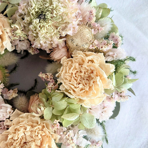 sale〛リース − 芍薬 × ラナンキュラス − ドライフラワー hana
