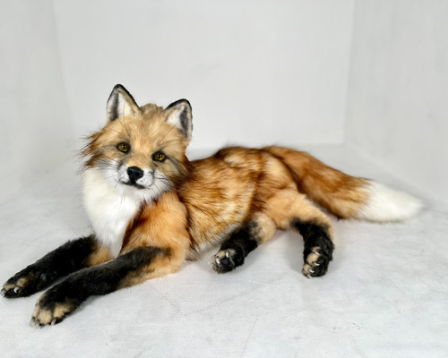 アートドール アカギツネ　狐　キツネ　ハンドメイド　海外作家様　リアルサイズ キツネのリアルなぬいぐるみ。オークのおもちゃ。アカギツネの