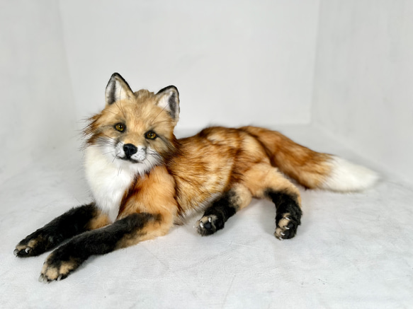アートドール アカギツネ　狐　キツネ　ハンドメイド　海外作家様　リアルサイズ アートドール アカギツネ 狐 キツネ ハンドメイド 海外作家様
