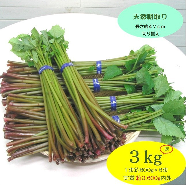 まだまだ食べ頃が続く...山形県最上峡舟下りの里〜新鮮天然朝取りご予約山菜[ 赤ミズ３ｋｇ強 ]!!クール便でお届け。