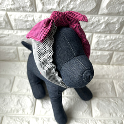 "数量限定"　bi-color クールタオルネックウォーマー「虫歯巻きにもなるよ」UVカット 6枚目の画像