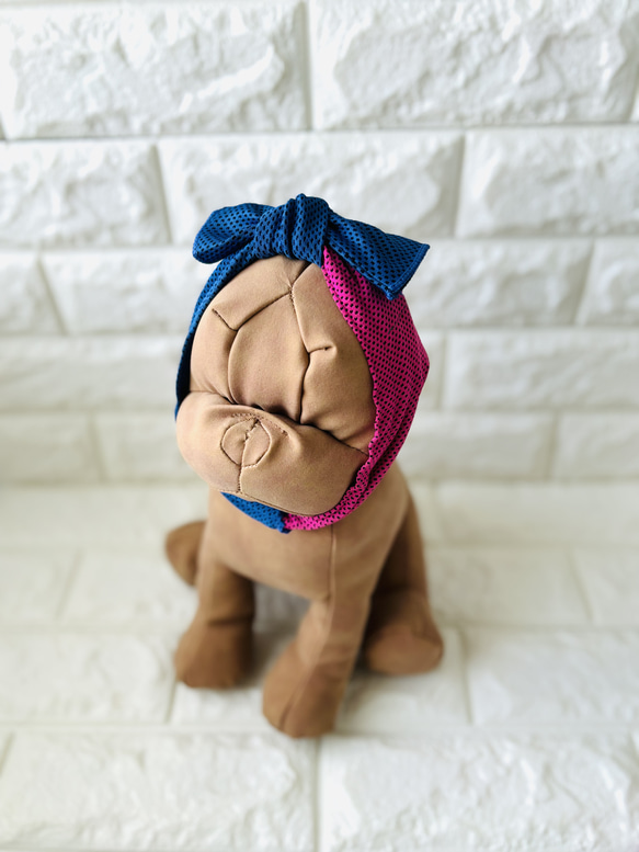 "数量限定"　bi-color クールタオルネックウォーマー「虫歯巻きにもなるよ」UVカット 10枚目の画像