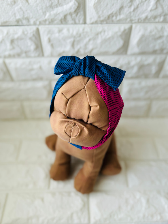 "数量限定"　bi-color クールタオルネックウォーマー「虫歯巻きにもなるよ」UVカット 11枚目の画像