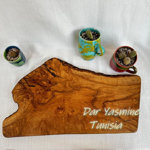 オリーブの木 個性あふれる１点もの　そこにあるだけでいい　約52cm