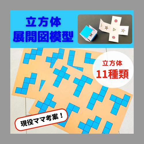 立方体11種 立体展開図模型 中学受験 知育玩具 小学生 中学生